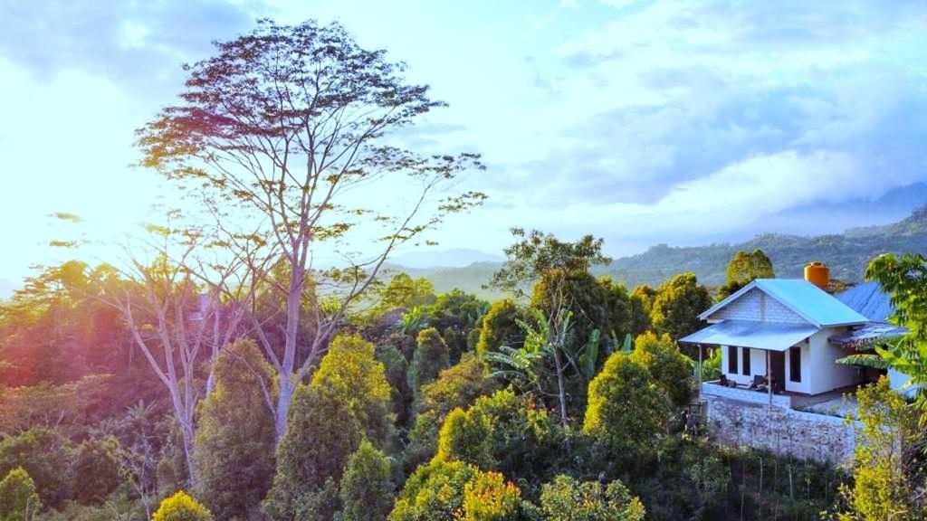 Sun Rice Homestay Ruteng Exterior photo